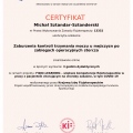 Powiększ obraz: certificate 31