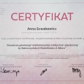 Powiększ obraz: certificate 1