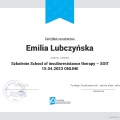 Powiększ obraz: certificate 2