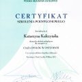 Powiększ obraz: certificate 6