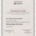 Powiększ obraz: certificate 4