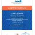 Powiększ obraz: certificate 17