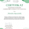 Powiększ obraz: certificate 3