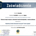 Powiększ obraz: certificate 6