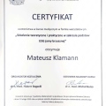 Powiększ obraz: certificate 17