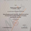 Powiększ obraz: certificate 3