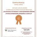 Powiększ obraz: certificate 1