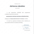 Powiększ obraz: certificate 6