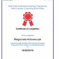 Powiększ obraz: certificate 14