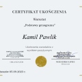 Powiększ obraz: certificate 19