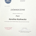 Powiększ obraz: certificate 26