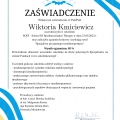 Powiększ obraz: certificate 1