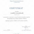 Powiększ obraz: certificate 19