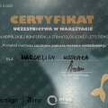 Powiększ obraz: certificate 16