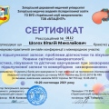 Powiększ obraz: certificate 2