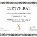 Powiększ obraz: certificate 23
