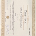 Powiększ obraz: certificate 2