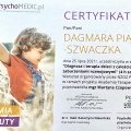 Powiększ obraz: certificate 2