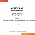 Powiększ obraz: certificate 19