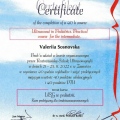 Powiększ obraz: certificate 1