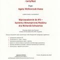 Powiększ obraz: certificate 3