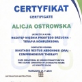 Powiększ obraz: certificate 6