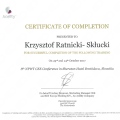 Powiększ obraz: certificate 5