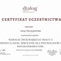 Powiększ obraz: certificate 5