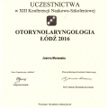 Powiększ obraz: certificate 20