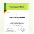 Powiększ obraz: certificate 54