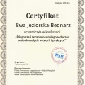 Powiększ obraz: certificate 24