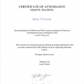 Powiększ obraz: certificate 1