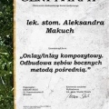 Powiększ obraz: certificate 3