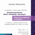Powiększ obraz: certificate 11