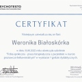 Powiększ obraz: certificate 5