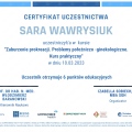 Powiększ obraz: certificate 7