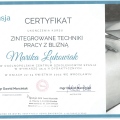 Powiększ obraz: certificate 8