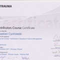 Powiększ obraz: certificate 48