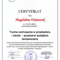 Powiększ obraz: certificate 7