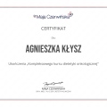 Powiększ obraz: certificate 13