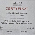Powiększ obraz: certificate 1