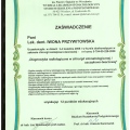 Powiększ obraz: certificate 26