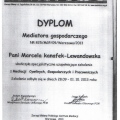 Powiększ obraz: certificate 5