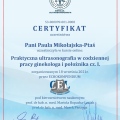 Powiększ obraz: certificate 21