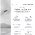 Powiększ obraz: certificate 1