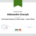 Powiększ obraz: certificate 10