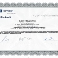 Powiększ obraz: certificate 2