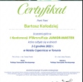 Powiększ obraz: certificate 4