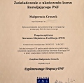 Powiększ obraz: certificate 11