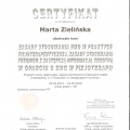 Powiększ obraz: certificate 20